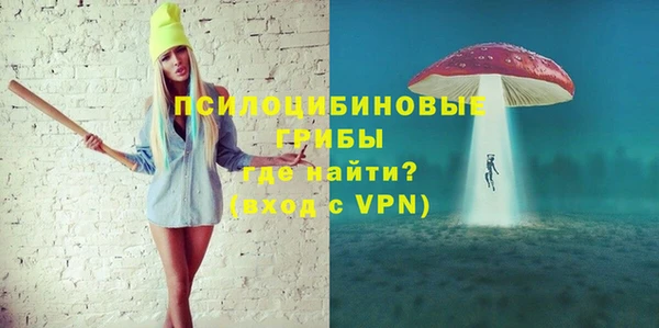 сатива Киреевск