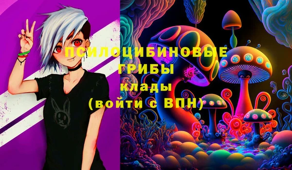 сатива Киреевск