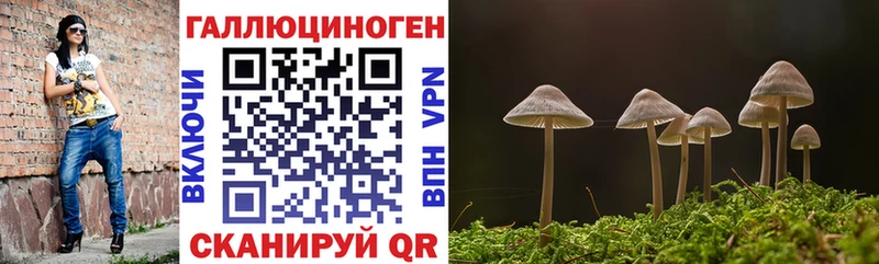 Купить закладки  Пересвет  Галлюциногенные грибы Magic Shrooms 